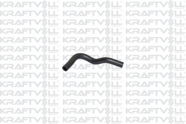 Radiator Hose (10031662)