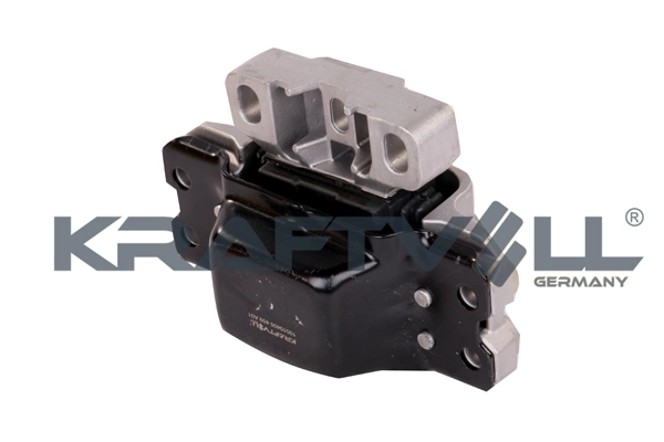 Mounting, engine (10010405)