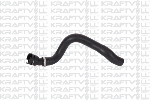 Radiator Hose (10031934)