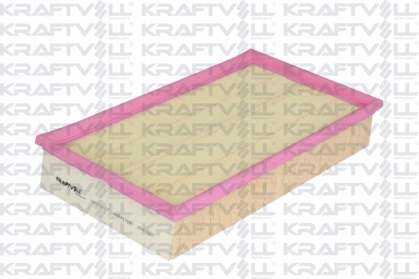 Air Filter (06010177)