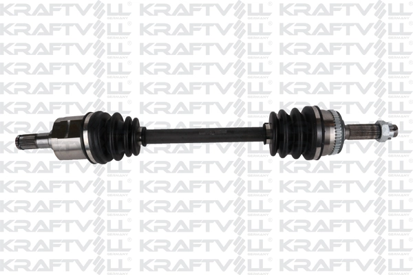 Drive Shaft (01010273)