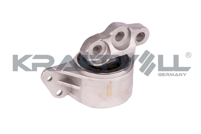 Mounting, engine (10010799)