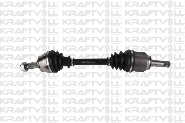 Drive Shaft (01010365)