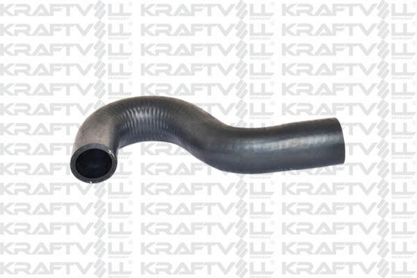 Radiator Hose (10031685)