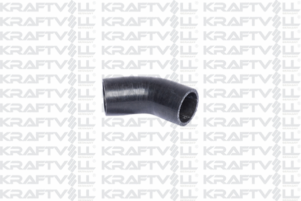 Charge Air Hose (10031813)