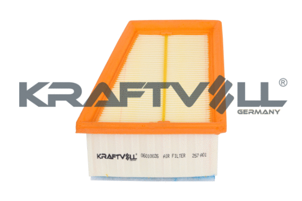 Air Filter (06010026)