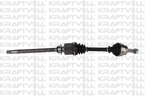 Drive Shaft (01010366)