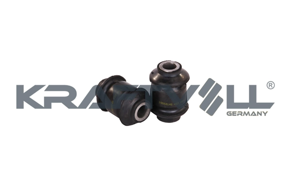 Mounting, control/trailing arm (10050145)