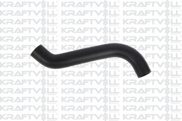 Radiator Hose (10031733)
