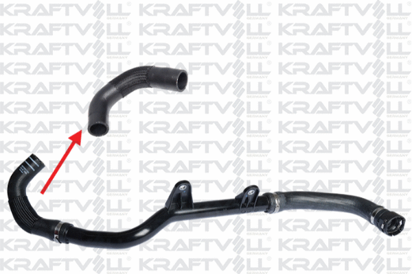 Radiator Hose (10031238)