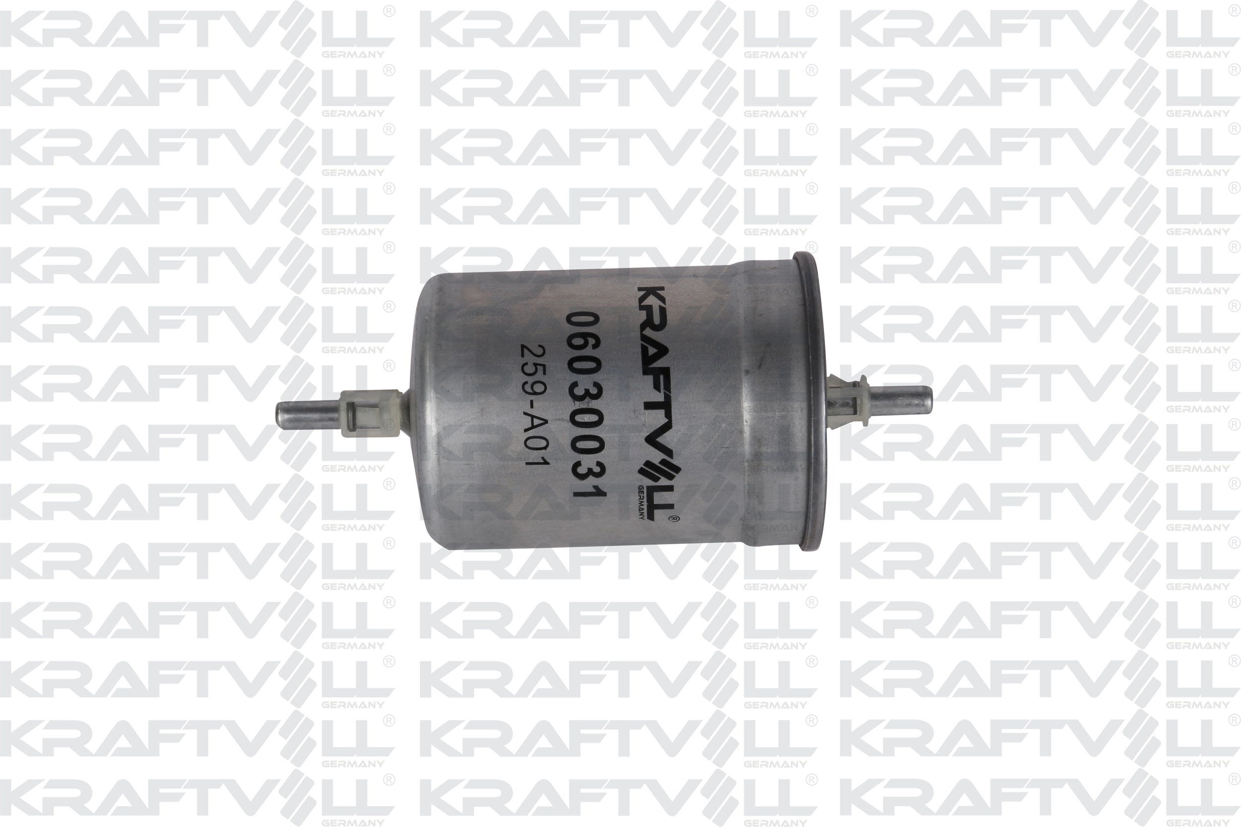 Fuel Filter (06030031)