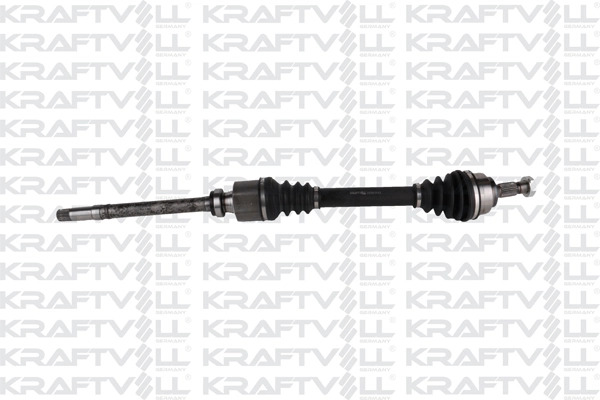 Drive Shaft (01010341)