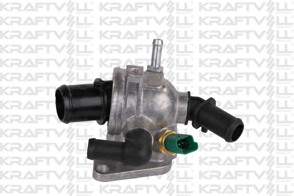 Thermostat, coolant (08100059)