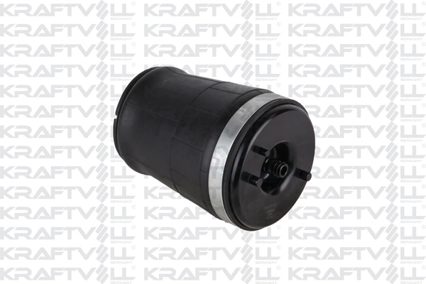 Air Spring, suspension (15060022)