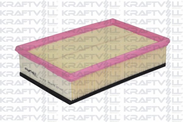 Air Filter (06010121)
