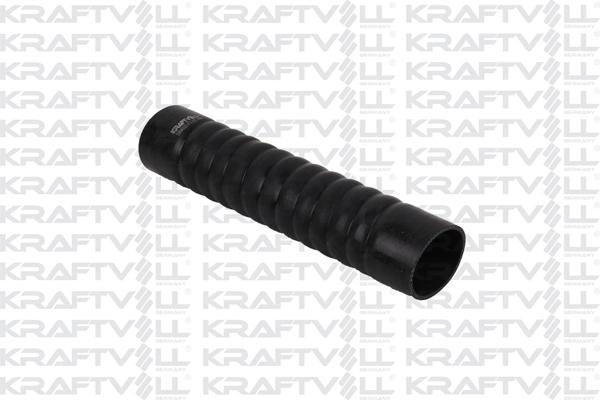 Radiator Hose (10040620)