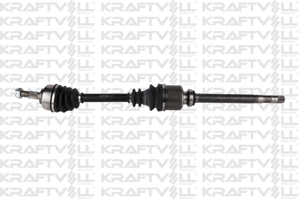 Drive Shaft (01010325)