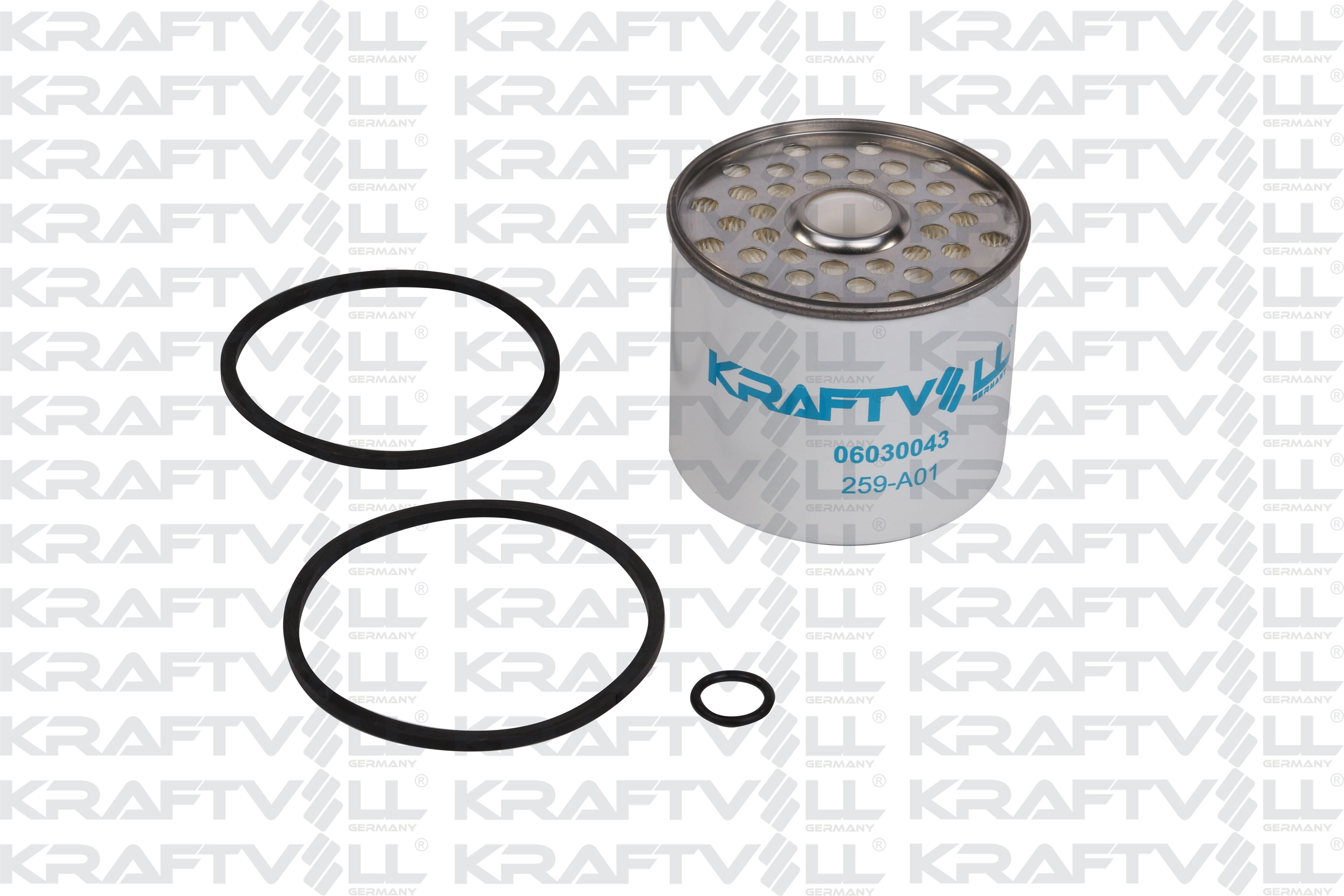 Fuel Filter (06030043)