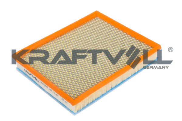 Air Filter (06010049)