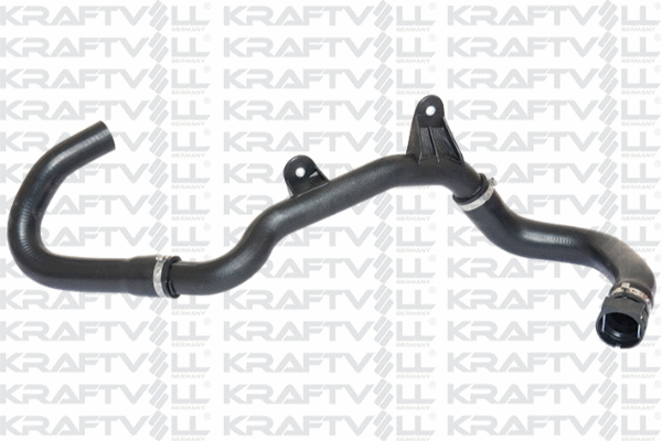 Radiator Hose (10031171)