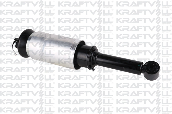 Air Suspension Strut (15060027)