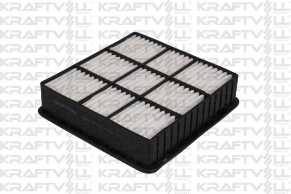 Air Filter (06010150)