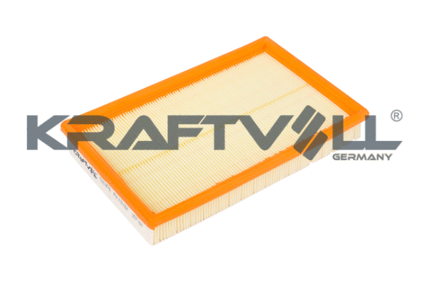 Air Filter (06010075)