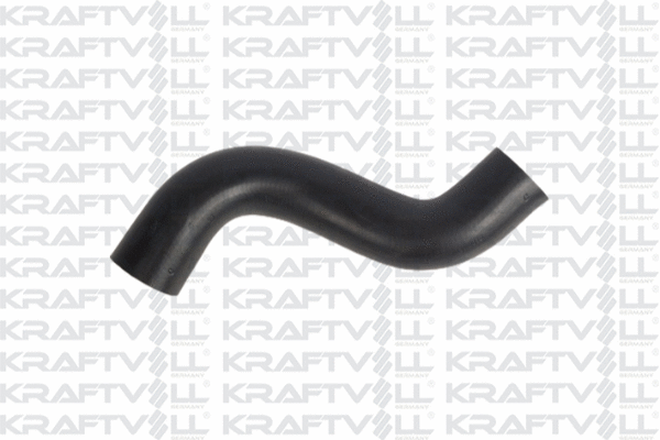 Radiator Hose (10032483)