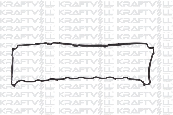 Gasket, cylinder head cover (12010141)