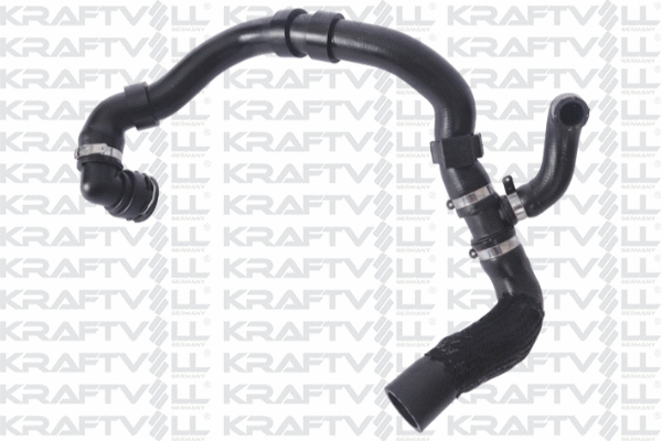 Radiator Hose (10031624)