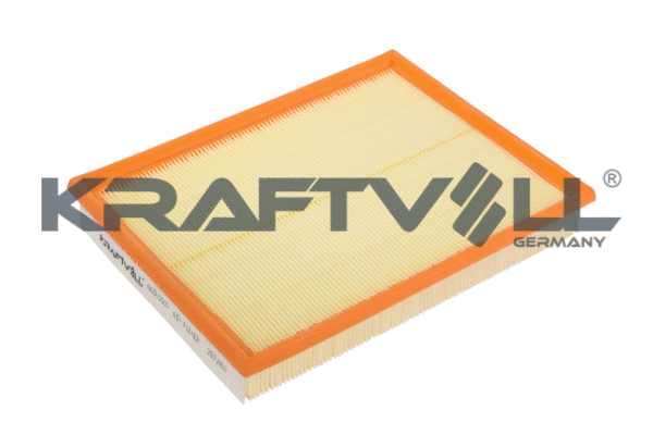 Air Filter (06010007)