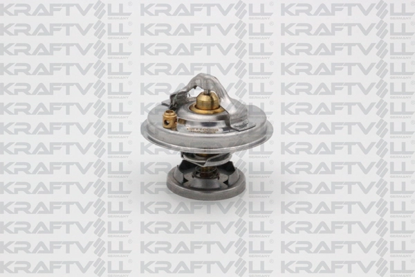 Thermostat, coolant (08110096)