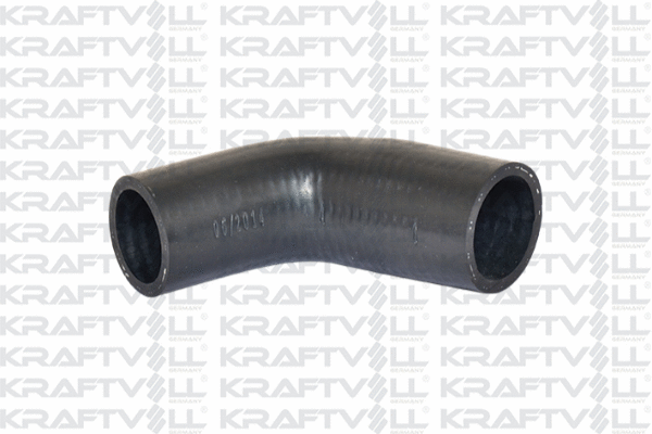 Radiator Hose (10031843)