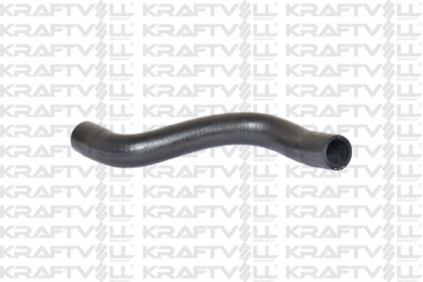 Radiator Hose (10031706)