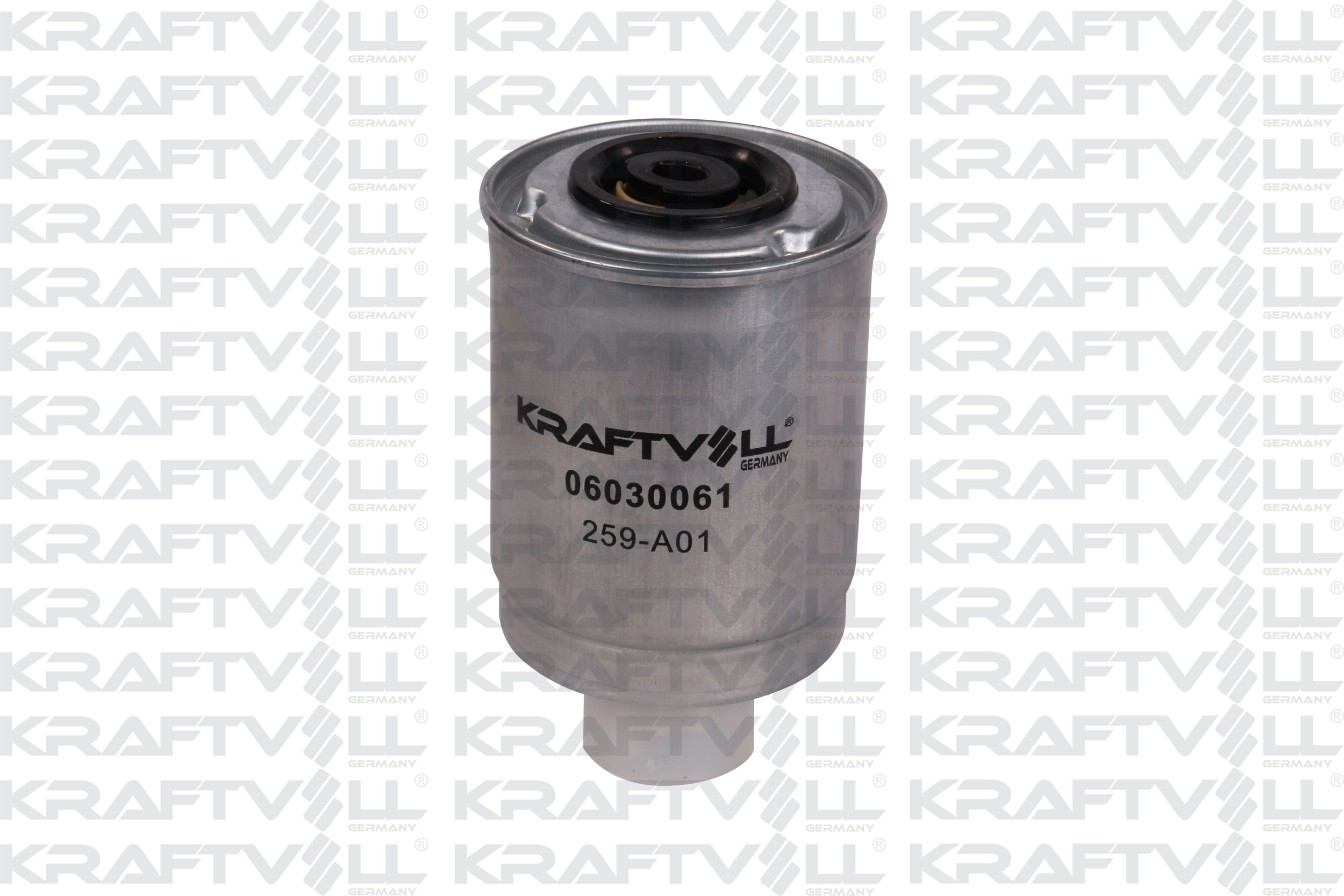 Fuel Filter (06030061)