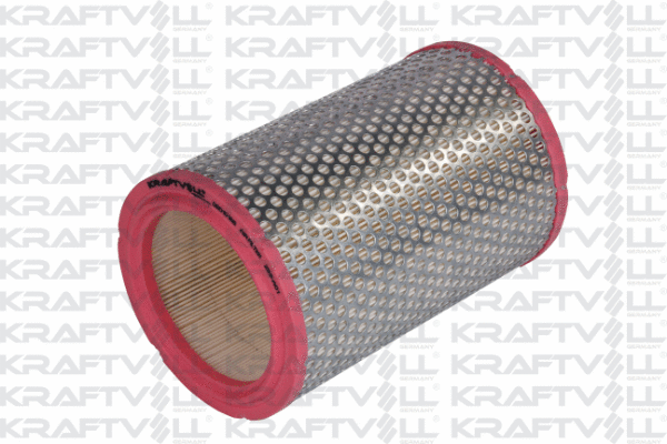 Air Filter (06010166)