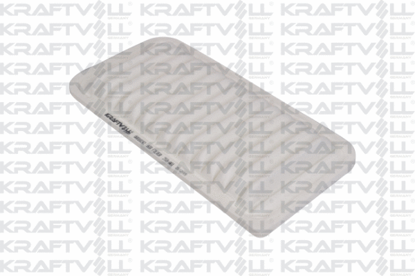 Air Filter (06010242)