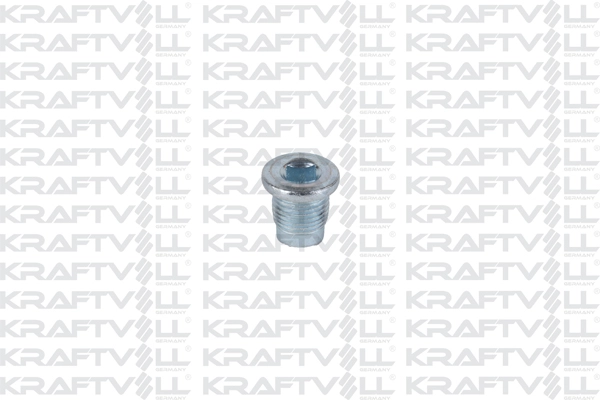 Screw Plug, oil sump (21030411)