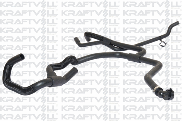 Radiator Hose (10031605)