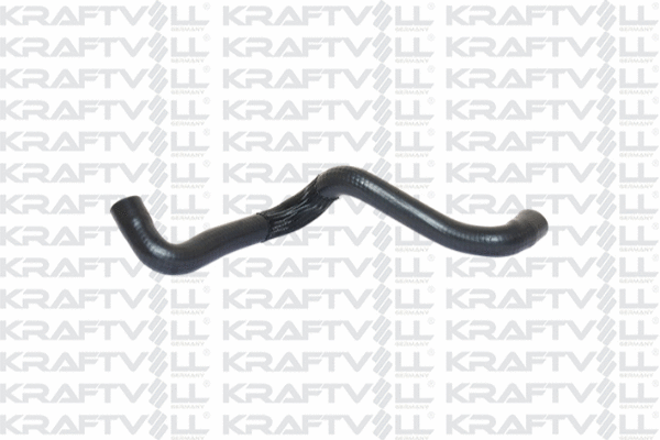 Radiator Hose (10031343)