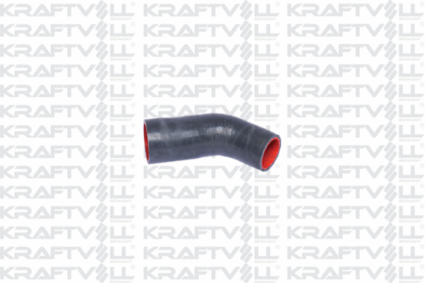 Charge Air Hose (10031406)
