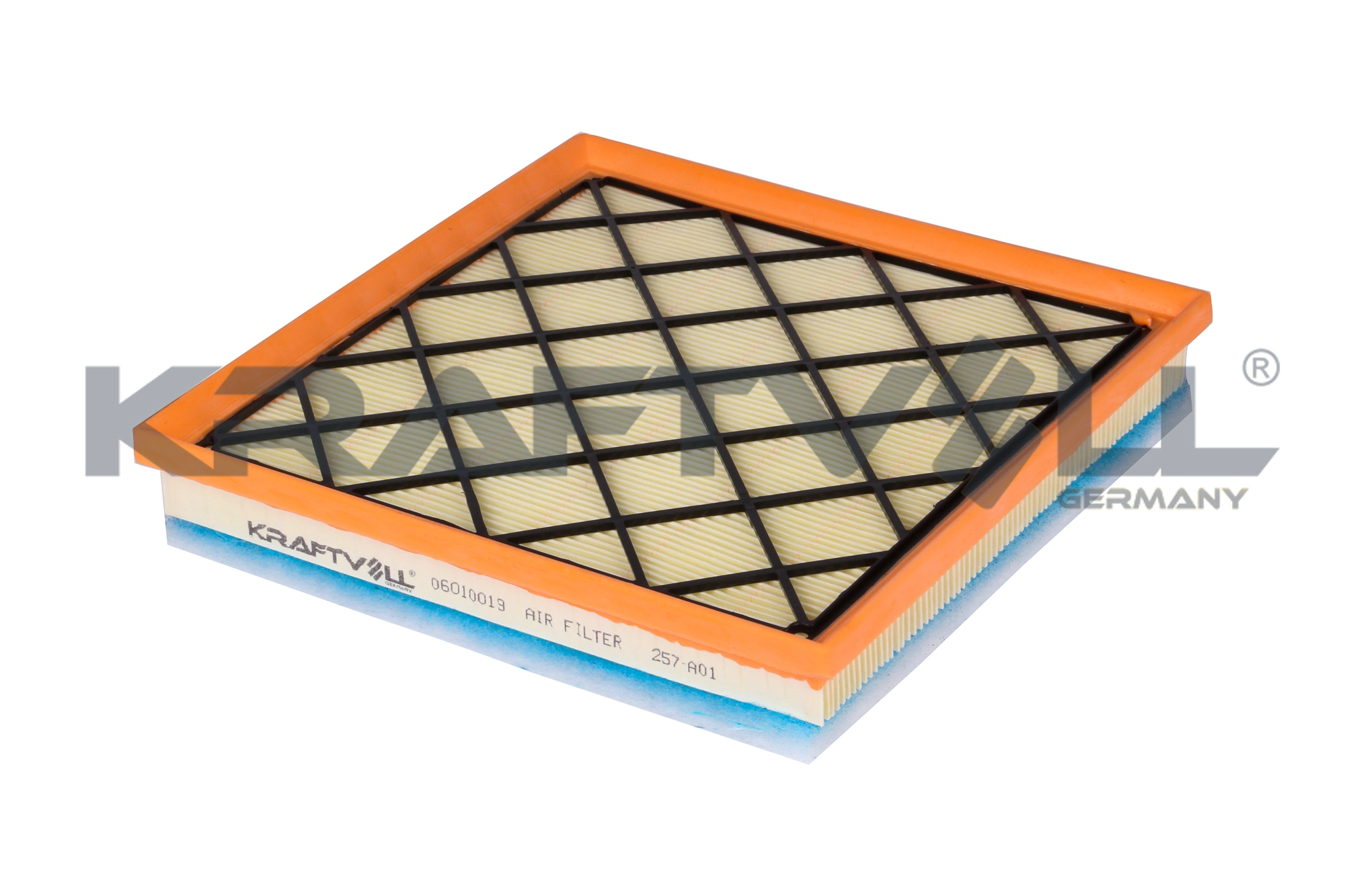 Air Filter (06010019)