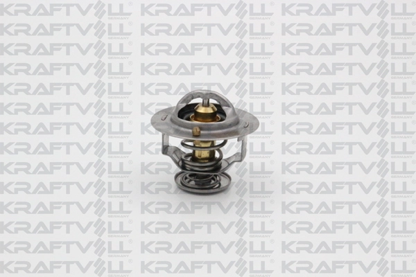 Thermostat, coolant (08110102)