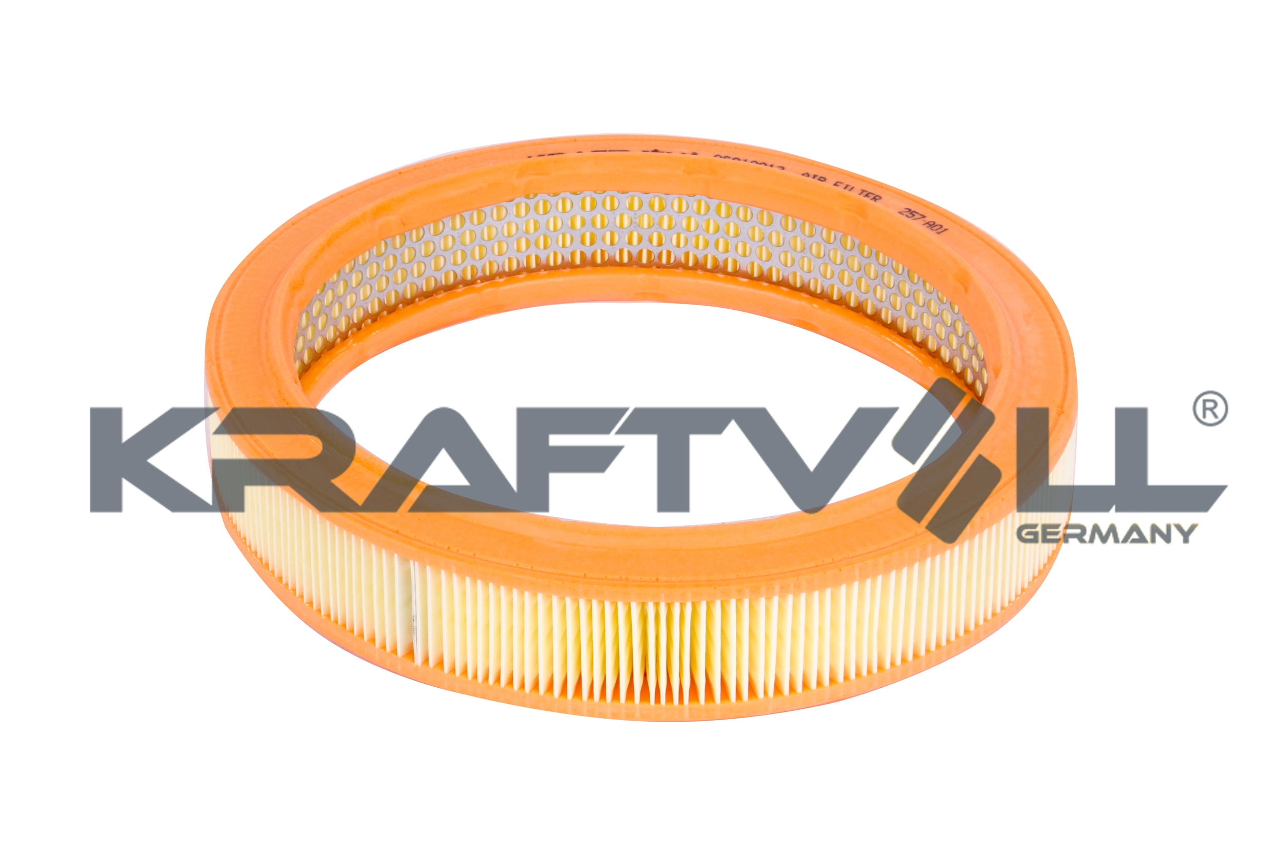 Air Filter (06010013)