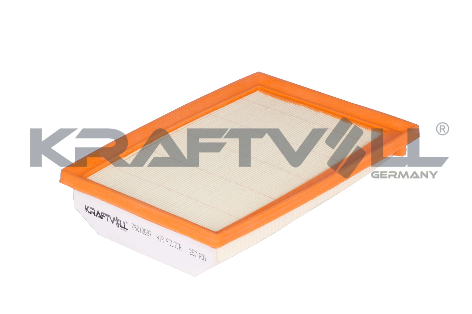 Air Filter (06010097)