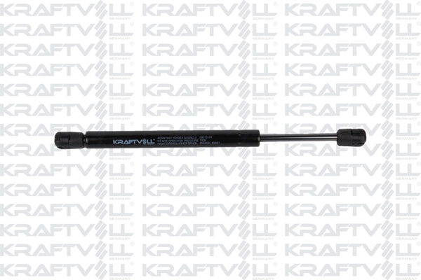 Gas Spring, boot/cargo area (09010416)
