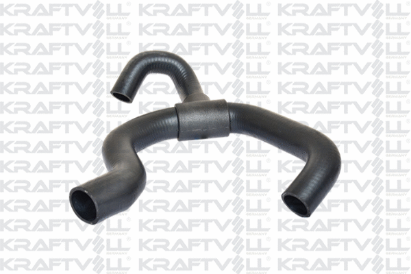 Radiator Hose (10031086)
