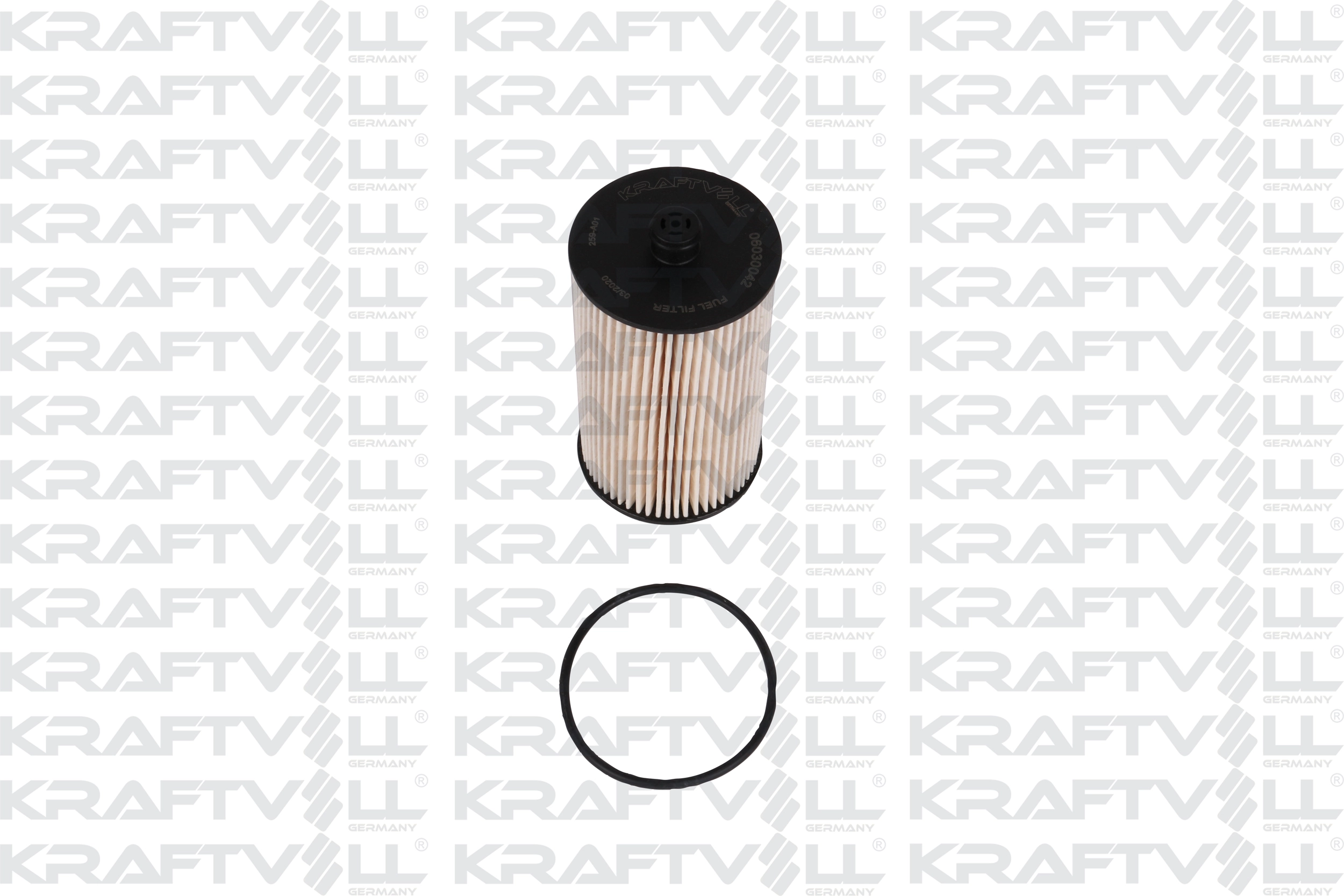 Fuel Filter (06030042)