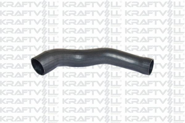 Charge Air Hose (10031132)