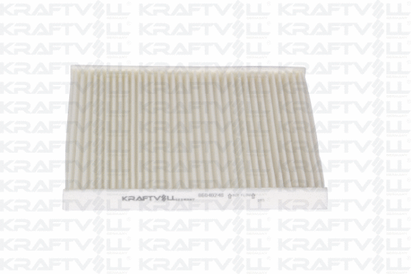 Filter, cabin air (06040248)